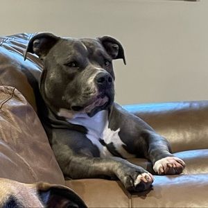 Meet your Posher, Victoria